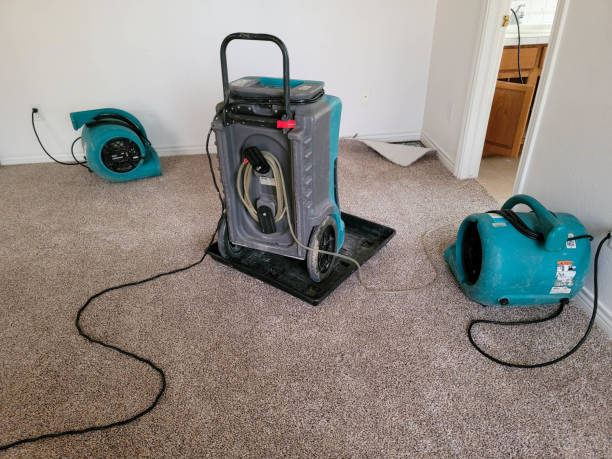Best Water damage restoration specialists  in Fordoche, LA
