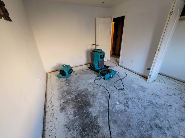 Water damage restoration experts in LA