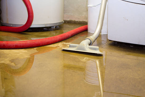 Best Flood restoration services  in Fordoche, LA