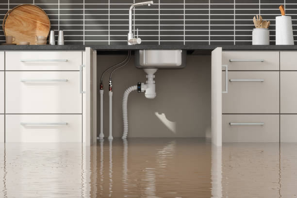 Best Flood damage cleanup  in Fordoche, LA