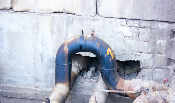 Best Professional water damage repair  in Fordoche, LA